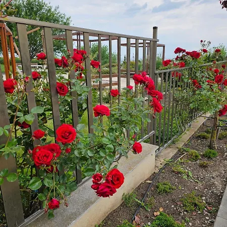 Aparthotel Diamond Sarafovo By Kp