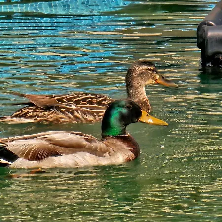 Apart Otel Diamond Sarafovo By Kp Burgaz