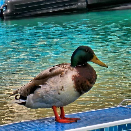 Apart Otel Diamond Sarafovo By Kp Burgaz