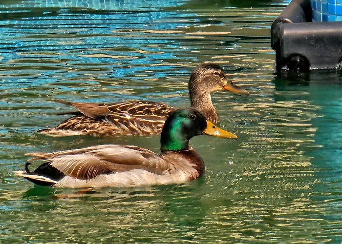 Apart-hotel Diamond Sarafovo By Kp Burgas