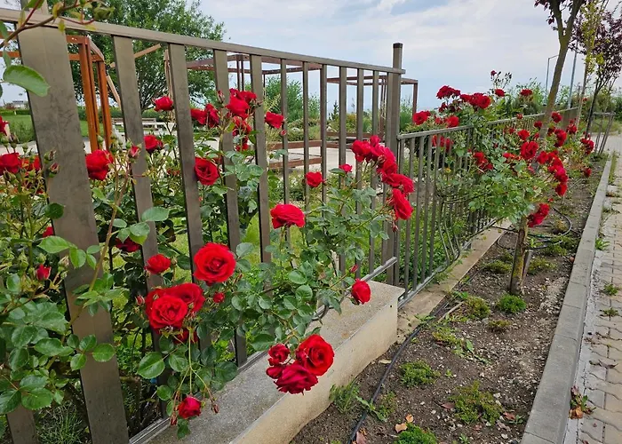 Apart-hotel Diamond Sarafovo By Kp