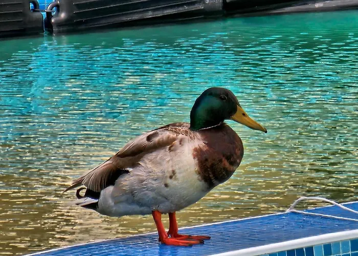 公寓式酒店 Diamond Sarafovo By Kp 布尔加斯